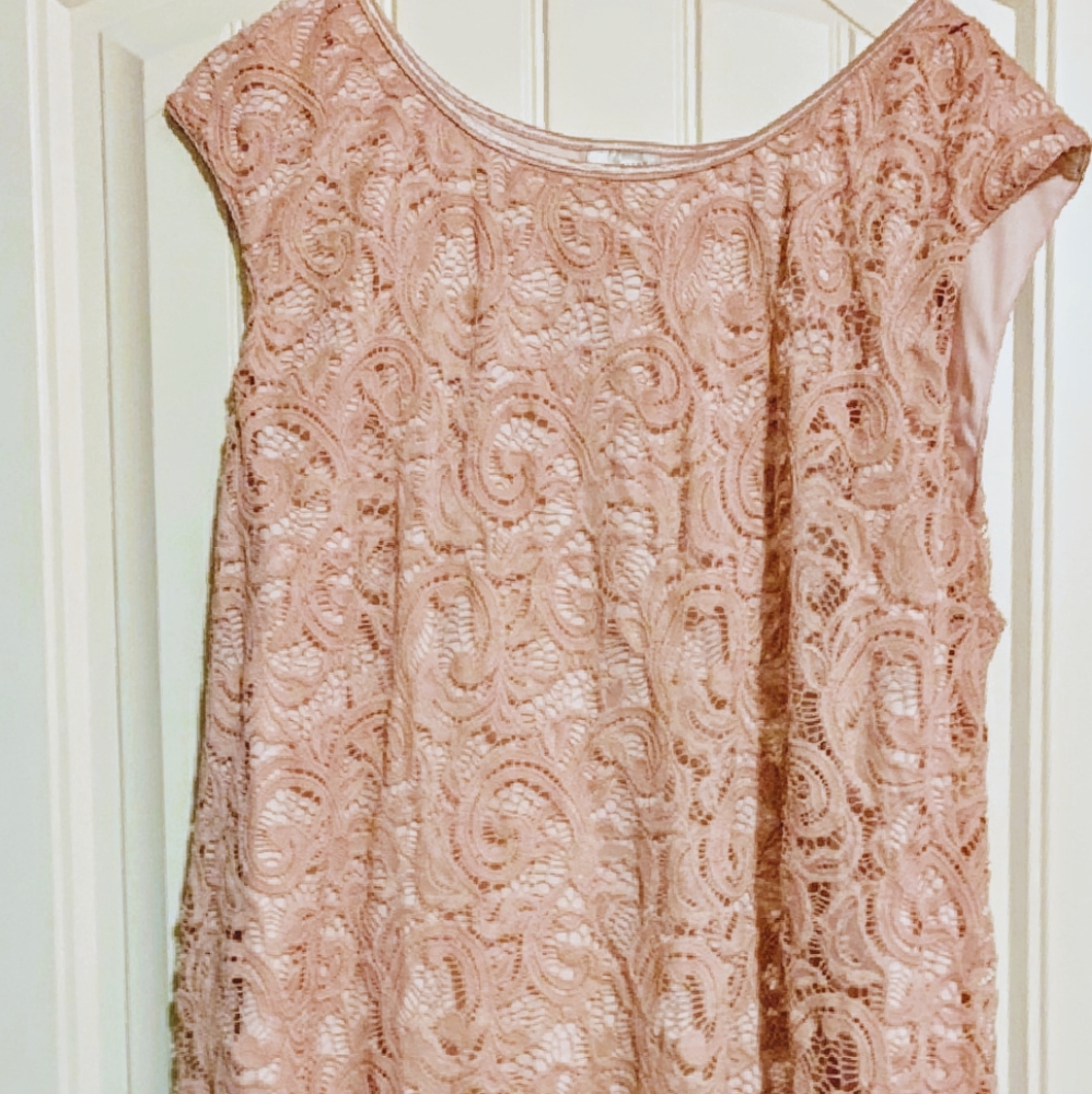 Plus Size Rose Pink Lace Dress